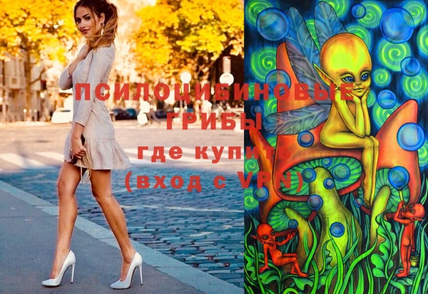 твердый Армянск
