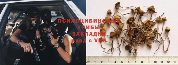 твердый Армянск