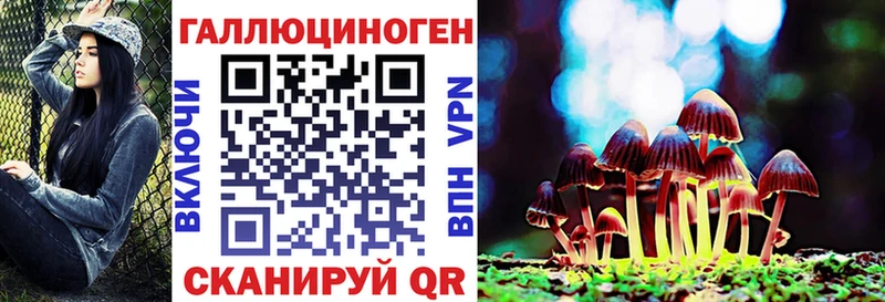 Галлюциногенные грибы Psilocybe  Спас-Деменск 